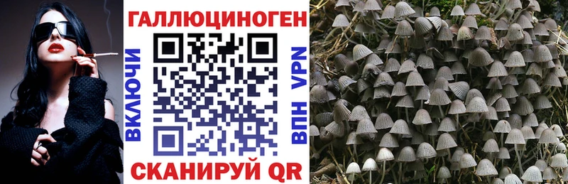 Галлюциногенные грибы мицелий  купить наркоту  Тутаев 